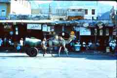 انقر للحصول على حجم اكبر